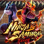 Ninja vs Samurai